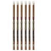 6 Easton Axis Traditional Carbon Arrows Shafts spine 500 600